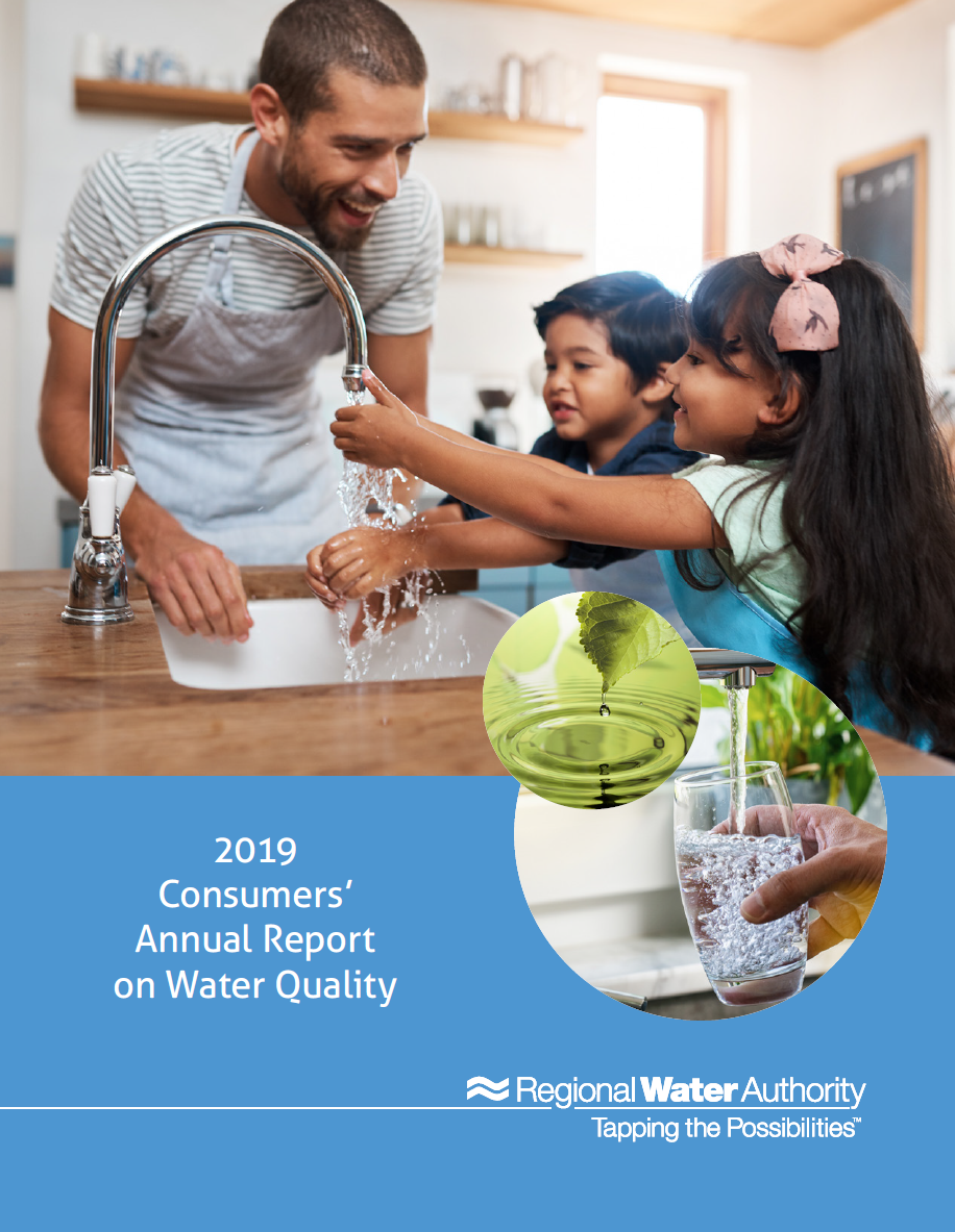 Annual Water Quality Report Shows RWA Continues To Maintain High Water Quality Standards